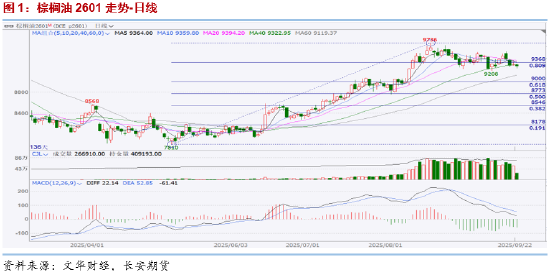 长安期货胡心阁:阿根廷出口税暂停美生柴不确定因素增加 油脂暂弱势对待