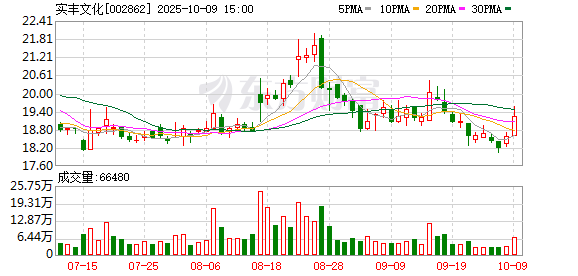 实丰文化：公司及下属公司无逾期对外担保