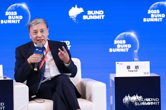 AI对劳动力市场有何影响？蔡昉：“一老一小”最受影响